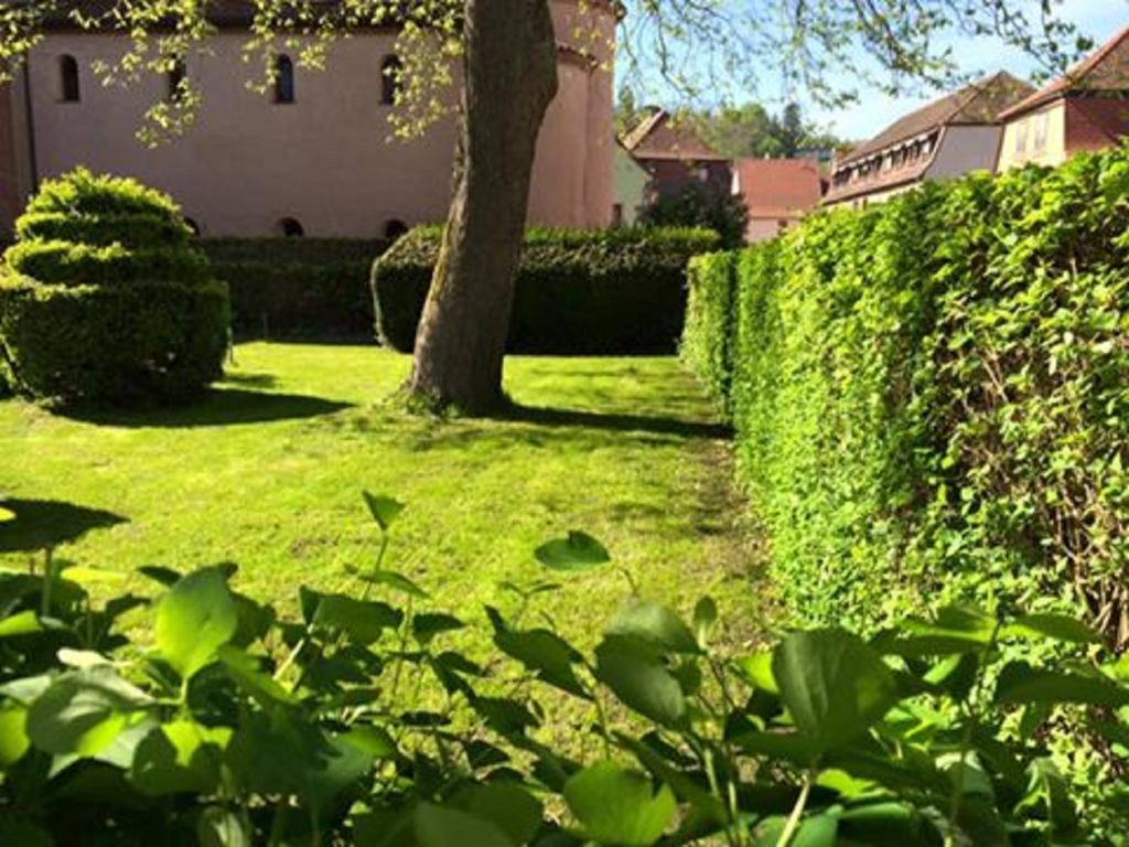 Hotel Du Herrenstein Neuwiller-lès-Saverne Εξωτερικό φωτογραφία